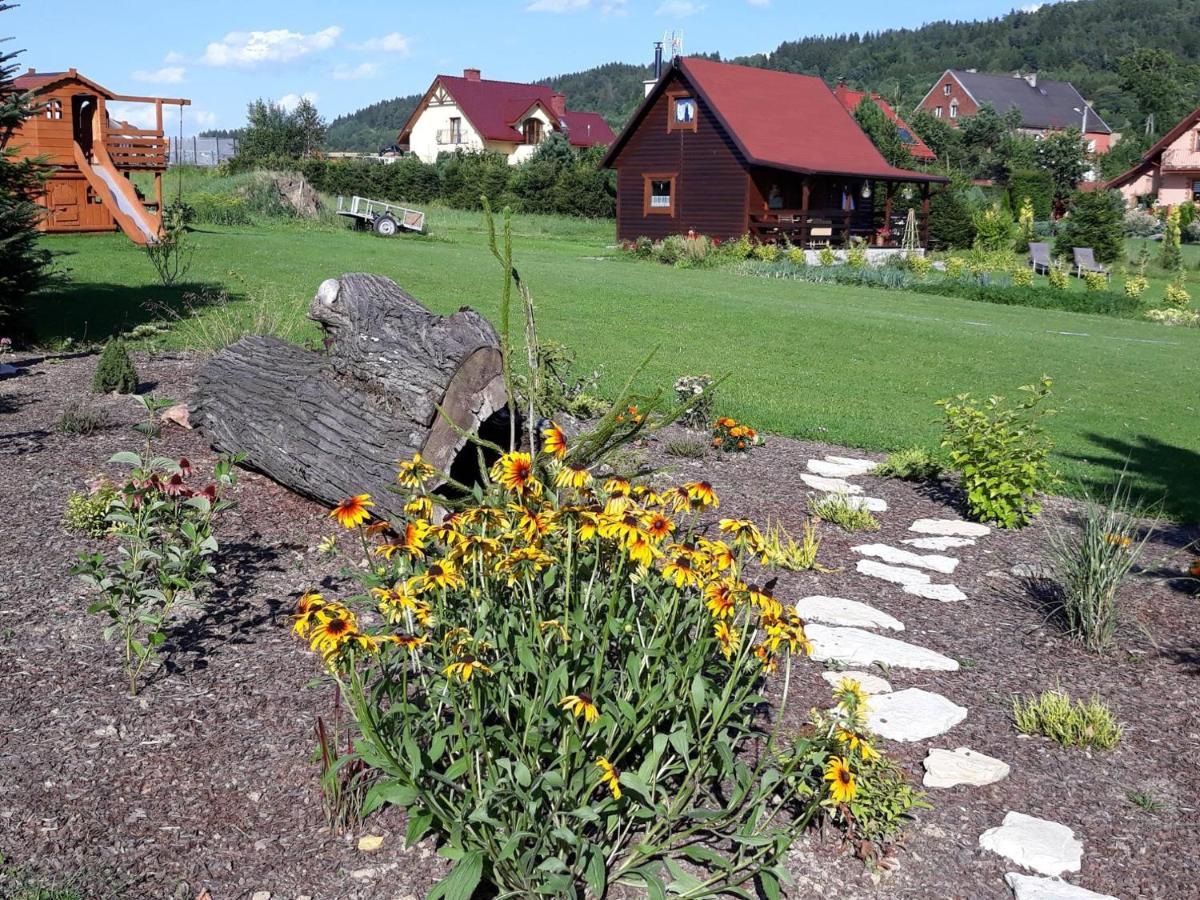 Domek U Karkonosza Villa Kamienna Gora Buitenkant foto