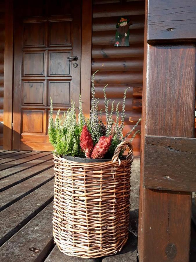 Domek U Karkonosza Villa Kamienna Gora Buitenkant foto