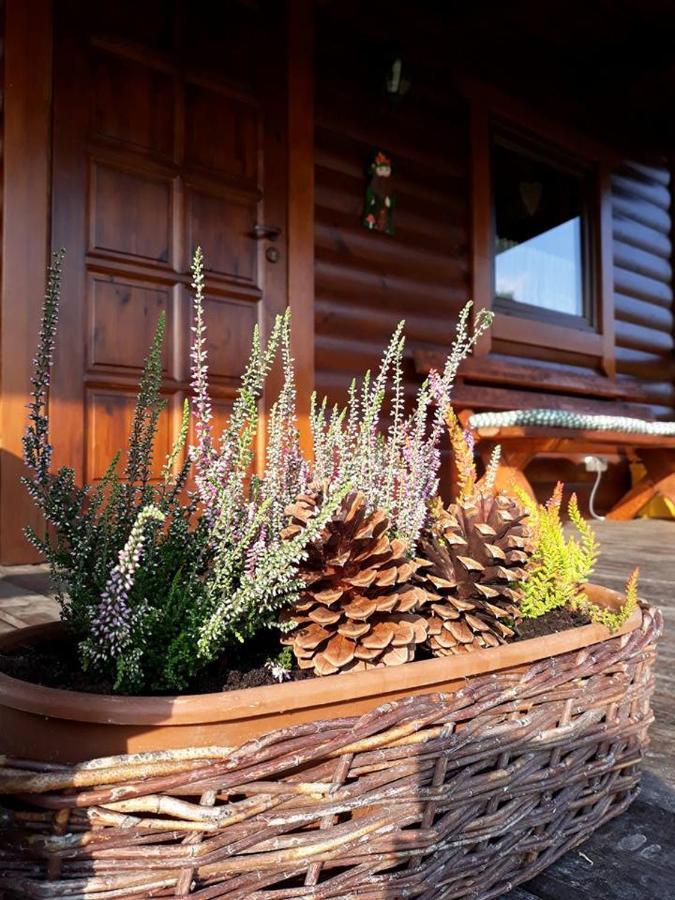 Domek U Karkonosza Villa Kamienna Gora Buitenkant foto
