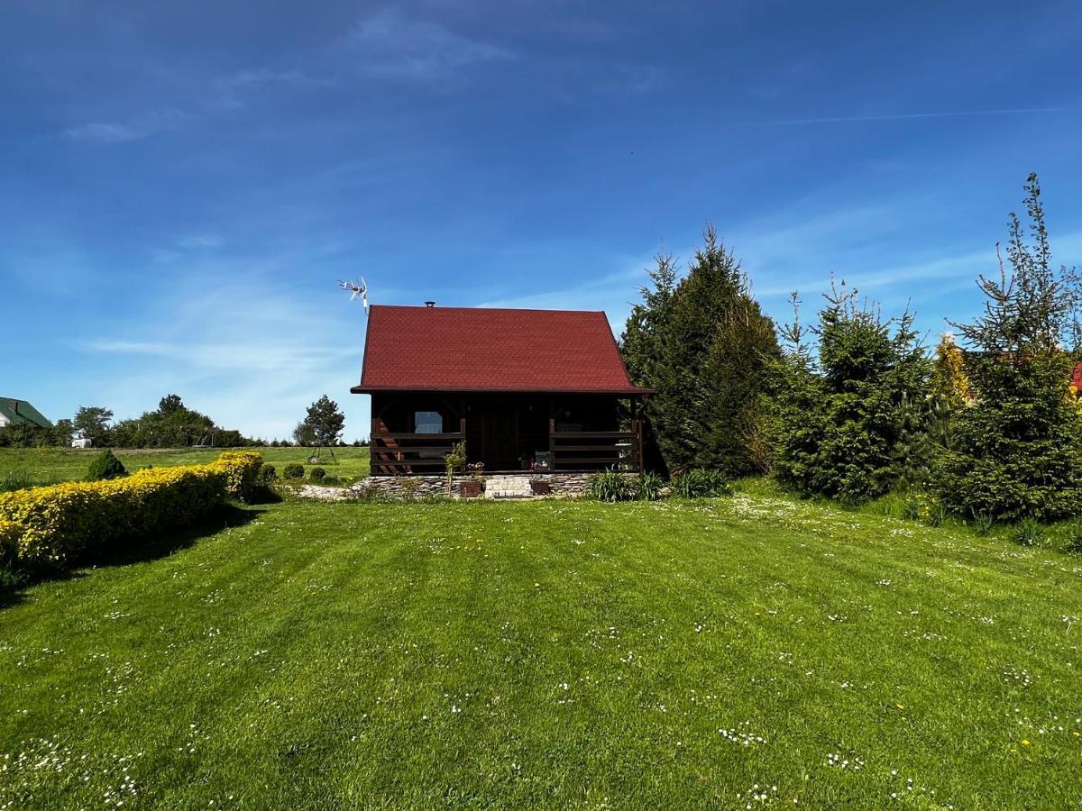 Domek U Karkonosza Villa Kamienna Gora Buitenkant foto